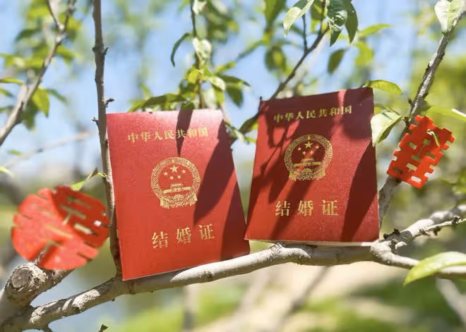 孫楊張豆豆官宣結婚!婚紗大片曝光超般配,張梓琳何雯娜送祝福