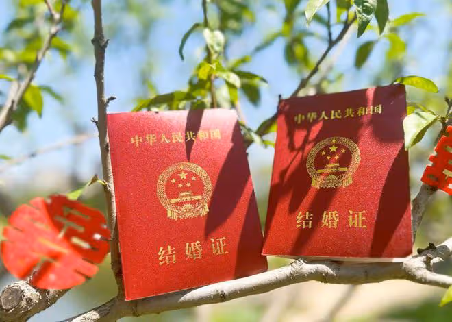 孫楊張豆豆官宣結婚,男帥女美好般配,去年已經見了父母