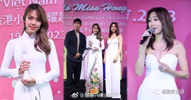 莊子璇膺「越南越愛香港小姐」!胡定欣大讚有劉佩玥影子