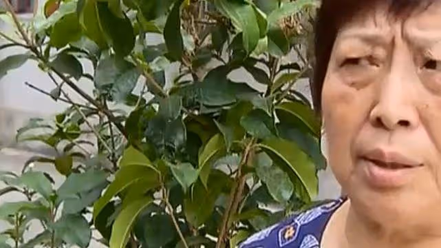 60歲老人因病離世,兒子不聞不問,只想與他的女友爭奪房產