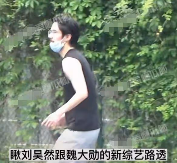 劉昊然打籃球再次被拍,鬍子拉碴模樣頹廢,近照被指像素人
