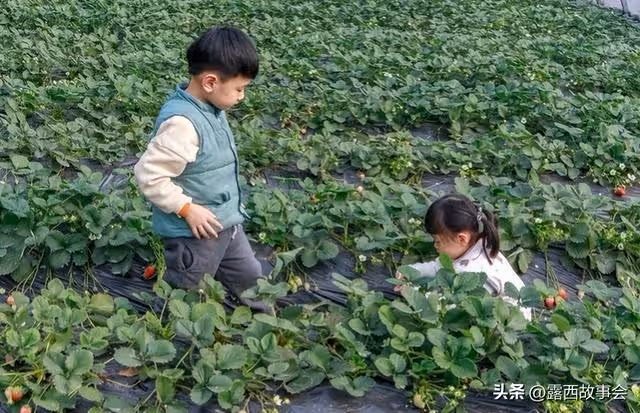 女兒想讓我幫忙帶外孫，我提出了4個要求，從此我就沒了女兒