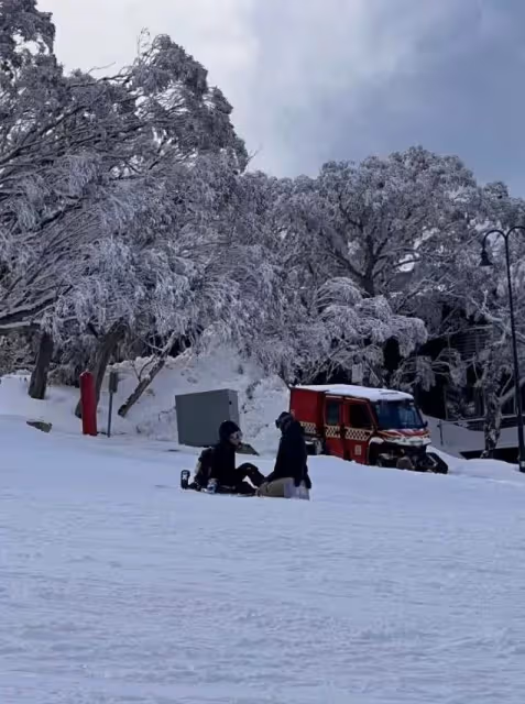 張柏芝謝霆鋒一家澳洲團聚！謝霆鋒跪地教兒子滑雪，保護兒子超暖