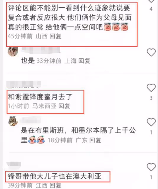 謝霆鋒張柏芝澳洲疑見面,分別帶兒子國外度假,網友喊話兩人復合