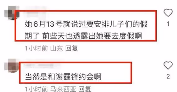 謝霆鋒張柏芝澳洲疑見面,分別帶兒子國外度假,網友喊話兩人復合
