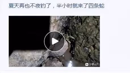 百萬中國遊客今夏湧入這片海域，方圓數百海里連皮皮蝦都撈光了？