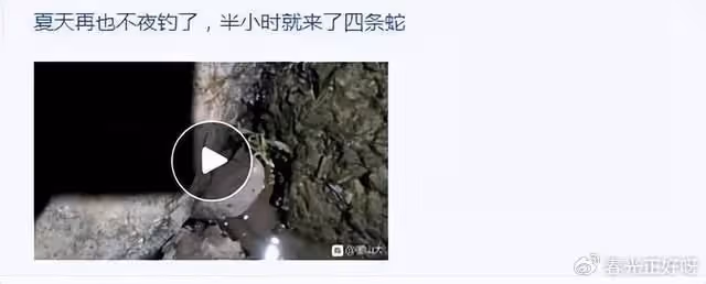 百萬中國遊客今夏湧入這片海域,方圓數百海里連皮皮蝦都撈光了?