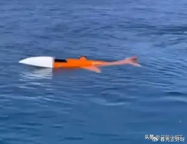 百萬中國遊客今夏湧入這片海域,方圓數百海里連皮皮蝦都撈光了?