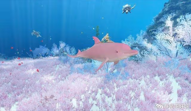 百萬中國遊客今夏湧入這片海域,方圓數百海里連皮皮蝦都撈光了?