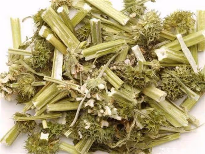 喝了益母草水,沒有起到作用?可能是沒有掌握正確的煮法和喝法