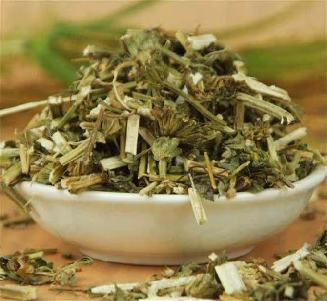 喝了益母草水,沒有起到作用?可能是沒有掌握正確的煮法和喝法