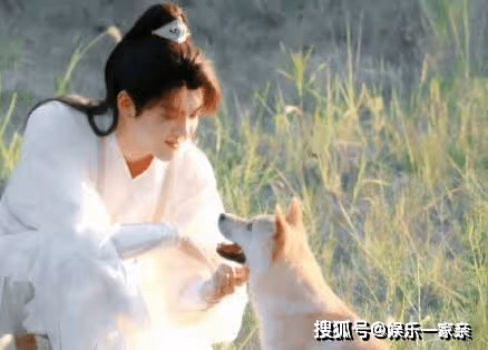 《蓮花樓》在什麼平台播出？《蓮花樓》方多病會武功嗎？