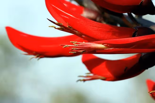 73歲老人坦言:人到晚年,寧願雇保姆也不要去孩子家被啃老,太累