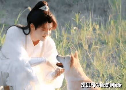 《蓮花樓》男主的配音是誰?女主是誰扮演的?《蓮花樓》里的狗狗叫什麼?