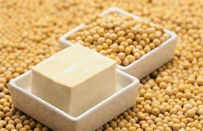 一斤豆子能做幾斤豆腐?揭開豆腐製作的神秘面紗