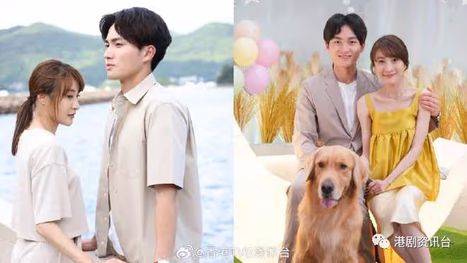 林夏薇演獸醫揭凼狗有一手！與周嘉洛做鬥氣冤家