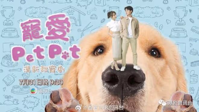 林夏薇演獸醫揭凼狗有一手！與周嘉洛做鬥氣冤家