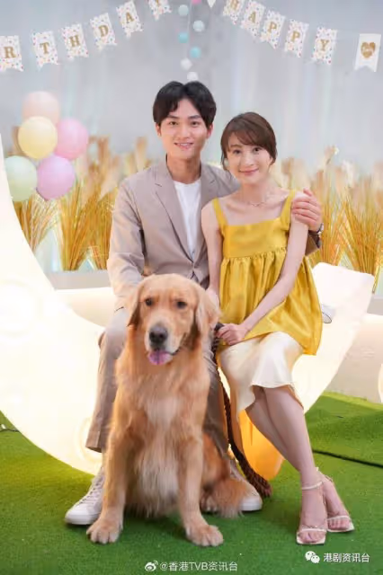 林夏薇演獸醫揭凼狗有一手！與周嘉洛做鬥氣冤家