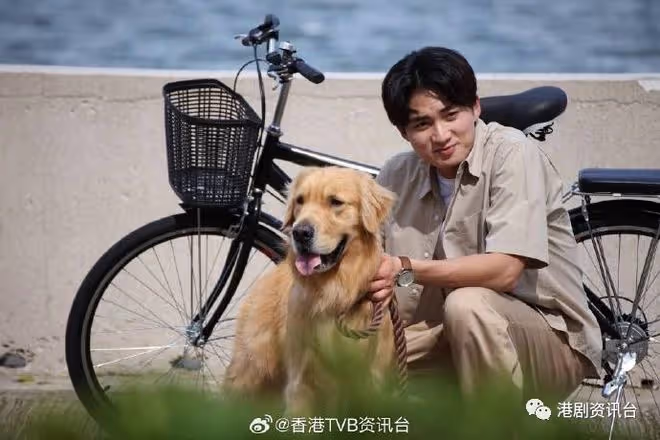 林夏薇演獸醫揭凼狗有一手!與周嘉洛做鬥氣冤家