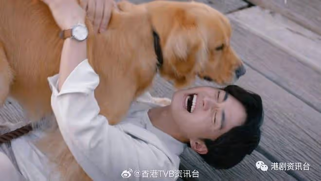 林夏薇演獸醫揭凼狗有一手!與周嘉洛做鬥氣冤家