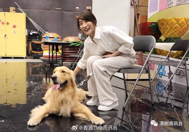 林夏薇演獸醫揭凼狗有一手!與周嘉洛做鬥氣冤家