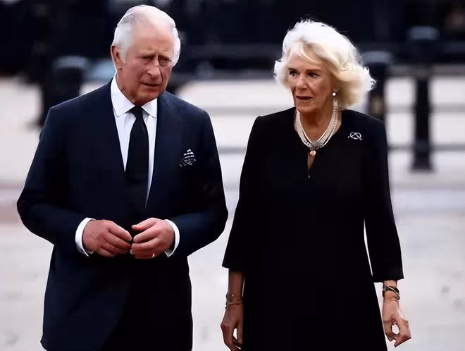 卡米拉不顧英國王室臉面,把前夫名字繡到禮服上,提拔子女和閨蜜