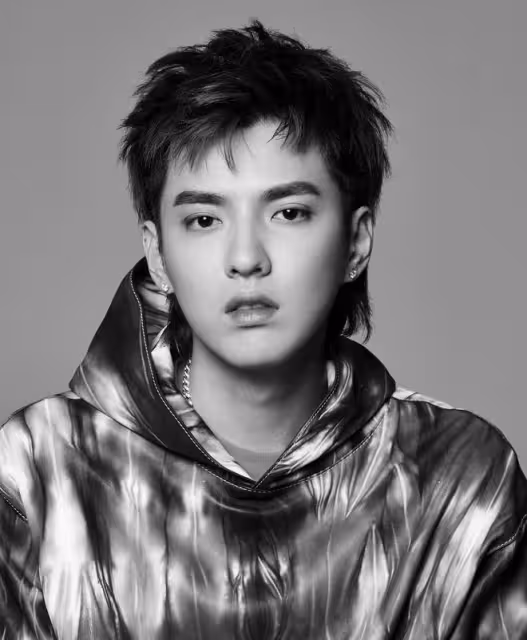 吳亦凡案二審擇期宣判,若維持原判,13年後人生境遇大不同