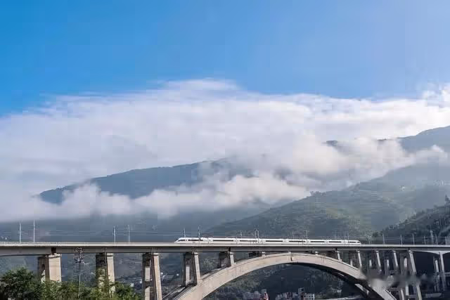 金銀銅獎，你看好誰？來投票吧