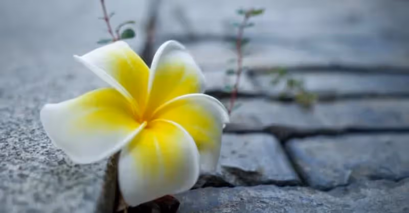 兒媳生日，婆婆特意做了一桌菜，兒媳百般挑剔，婆婆忍怒趕人