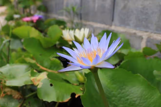 兒媳生日,婆婆特意做了一桌菜,兒媳百般挑剔,婆婆忍怒趕人