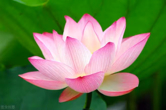 兒媳生日,婆婆特意做了一桌菜,兒媳百般挑剔,婆婆忍怒趕人