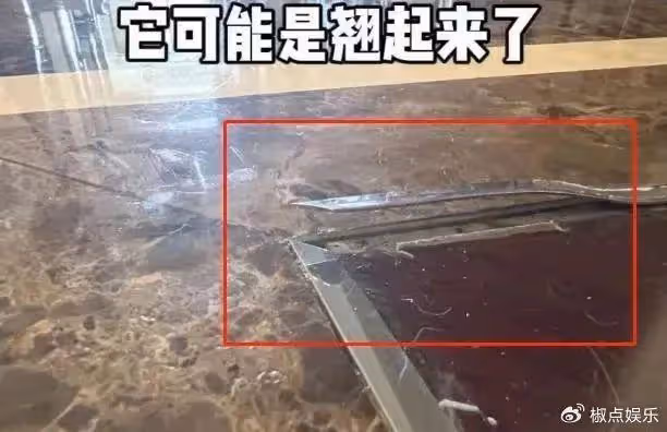 前央視主持突發意外!腳被鋼條穿透鮮血直流,紅臉怒罵無辜粉絲