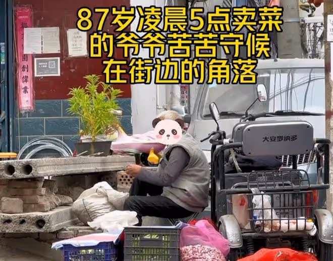 大爺在街頭賣菜,哭訴兩個兒子都不孝順,知情人:以前打兒媳婦