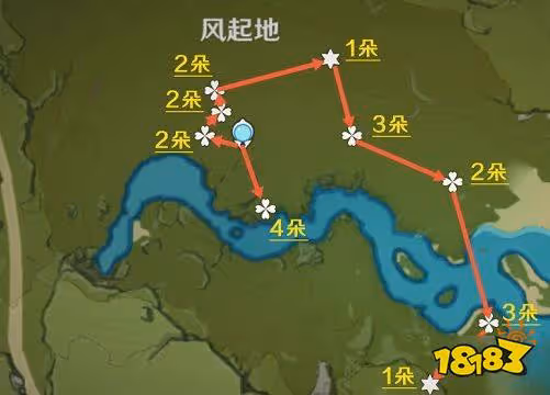 原神風車菊採集地點位置有哪些 風車菊收集路線圖
