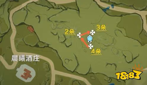 原神風車菊採集地點位置有哪些 風車菊收集路線圖