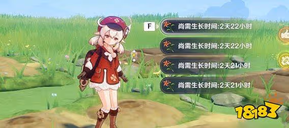 原神風車菊採集地點位置有哪些 風車菊收集路線圖