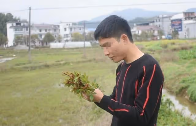 我媽把拆遷房給我弟,卻讓我給她買房寫她名,以後留給兒孫