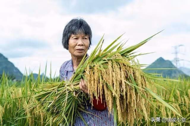 小姑有存款幾十萬,從不借錢給別人,父親患病後,她卻送來十萬元