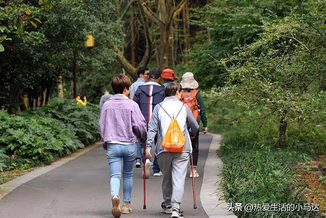 參加了三個老年團,見識了圈子的醜陋現象後,我決定一個人玩更好