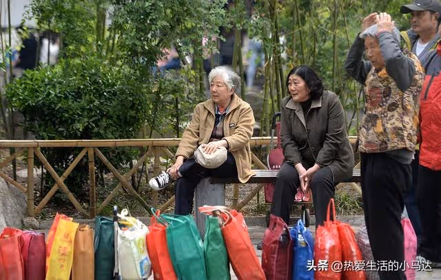 參加了三個老年團,見識了圈子的醜陋現象後,我決定一個人玩更好