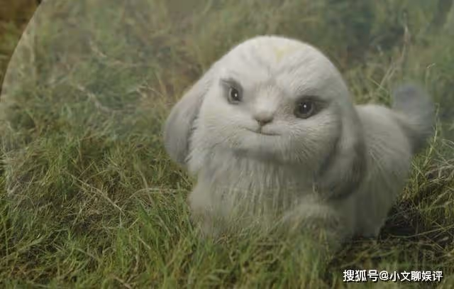 《長相思》每幀都在燒錢的毛球再可愛，也抵不住朏朏被殘害的意難平