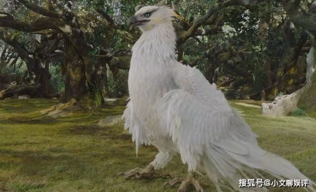 《長相思》每幀都在燒錢的毛球再可愛，也抵不住朏朏被殘害的意難平