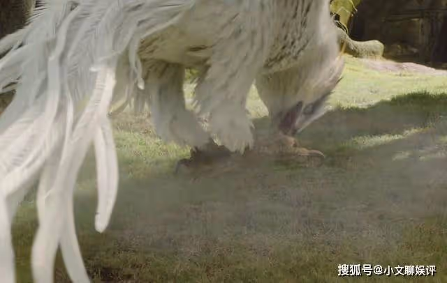 《長相思》每幀都在燒錢的毛球再可愛,也抵不住朏朏被殘害的意難平