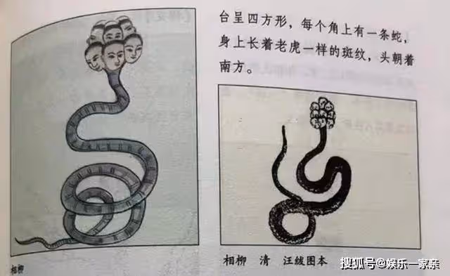 《長相思》相柳的9個頭到底是怎麼長的?小六最好奇的事,有答案了