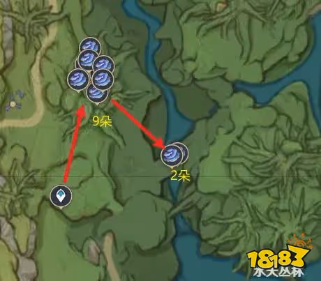 原神樹王聖體菇快速採集路線圖 樹王聖體菇收集位置