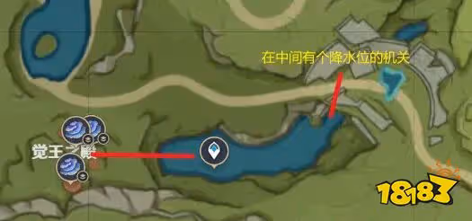 原神樹王聖體菇快速採集路線圖 樹王聖體菇收集位置