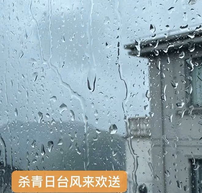 宋祖兒為拿颱風天災開玩笑道歉,被粉絲喊話去捐款,為錯誤買單