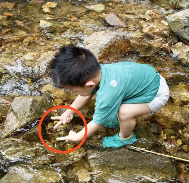 朱丹曬一家四口出遊照,與老公牽手秀恩愛,周一圍照顧兒女有擔當