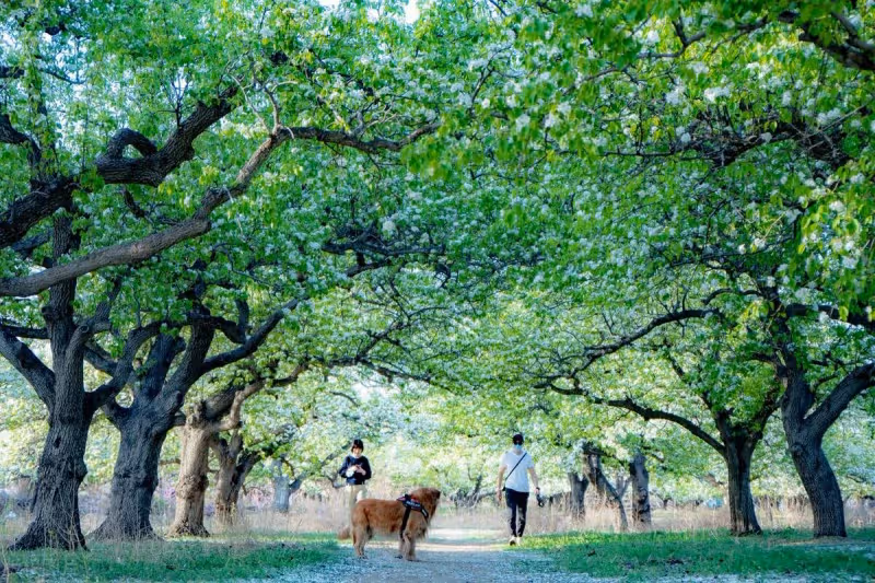 我退休金5千還在打工,妹妹沒有退休金過得幸福,她才是人間清醒
