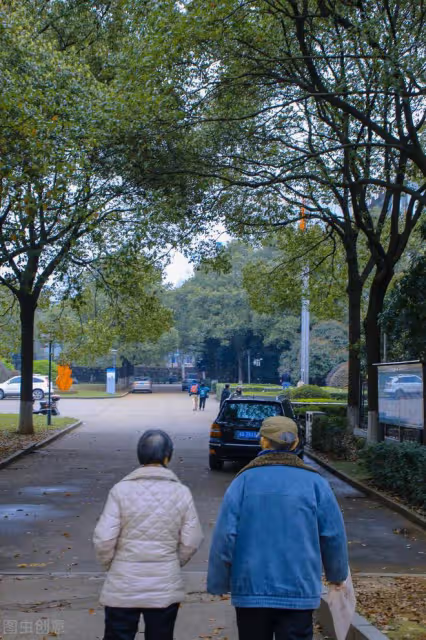 65歲大爺不要老伴,只僱傭中年保姆,大爺:中年保姆乾淨養眼